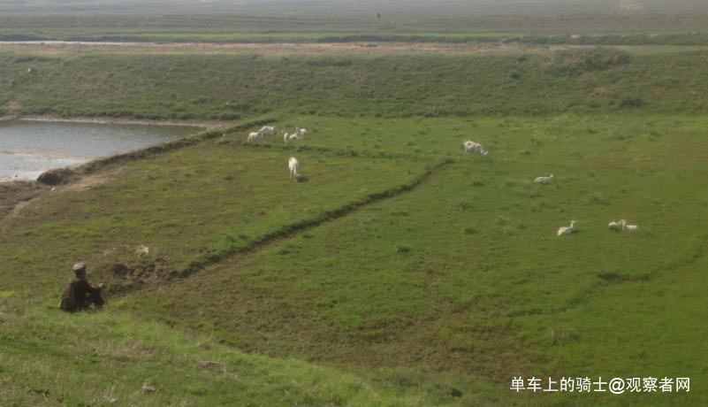 點擊查看大圖。 朝鮮的“資本主義尾巴”