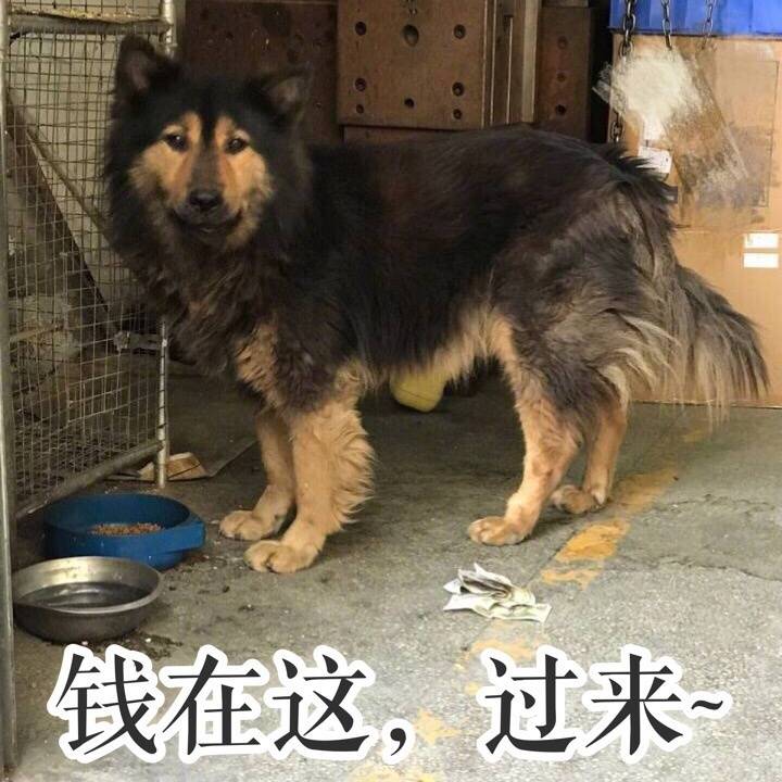 點擊查看大圖