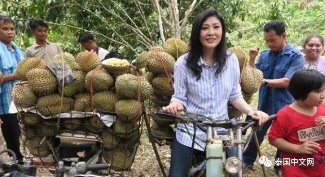 點擊查看大圖 點擊查看大圖