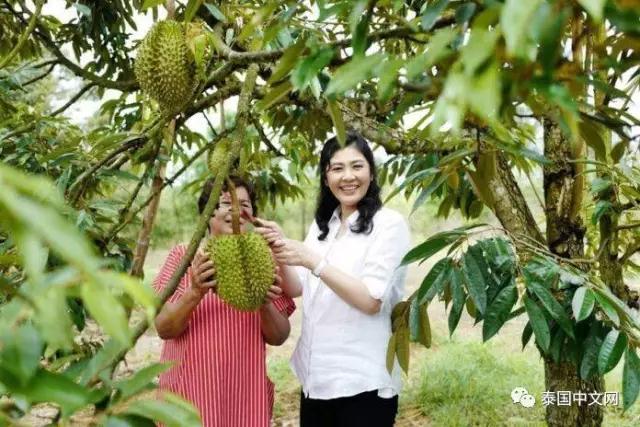 點擊查看大圖 點擊查看大圖