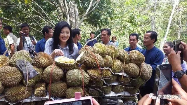 點擊查看大圖 點擊查看大圖