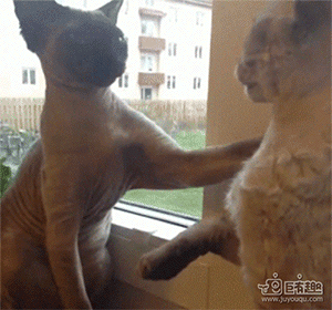 點擊查看大圖 點擊查看大圖