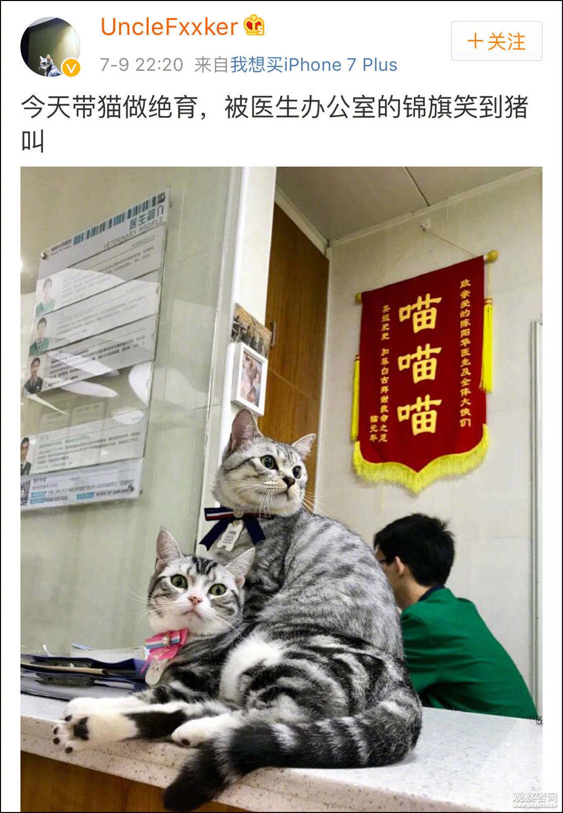 點擊查看大圖 點擊查看大圖