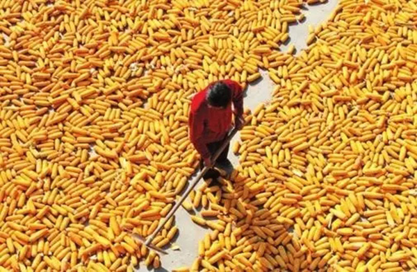 點擊查看大圖 點擊查看大圖