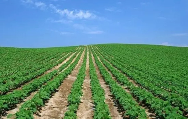 點擊查看大圖 點擊查看大圖