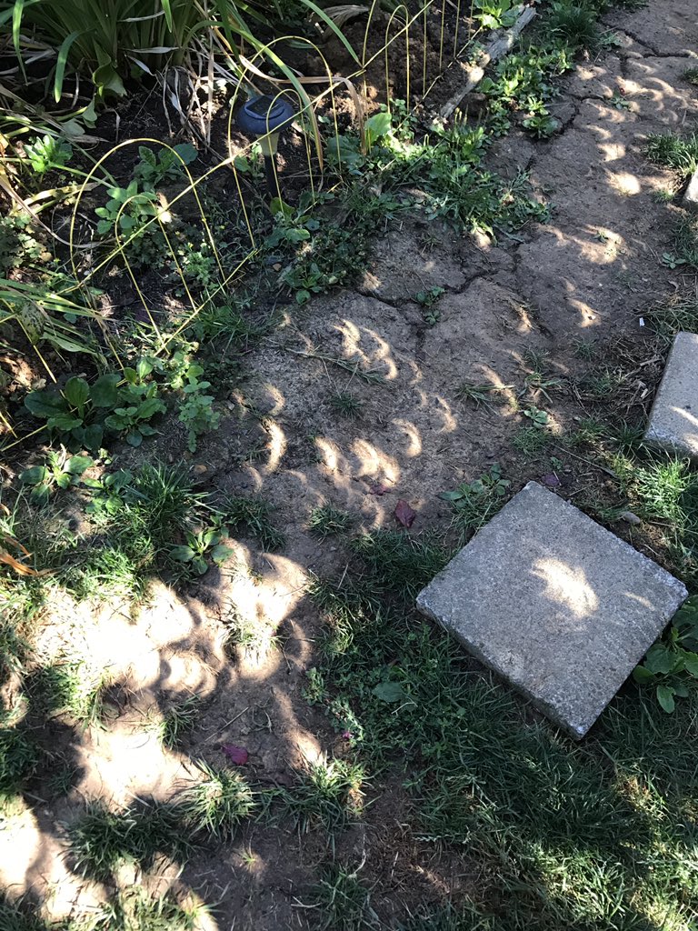 點擊查看大圖 點擊查看大圖