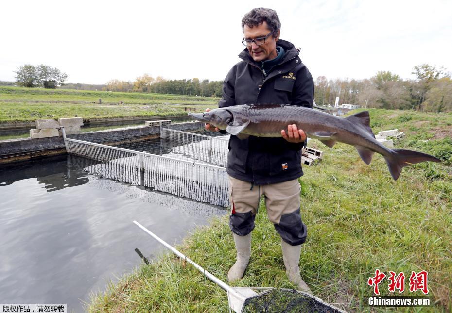 點擊查看大圖 點擊查看大圖