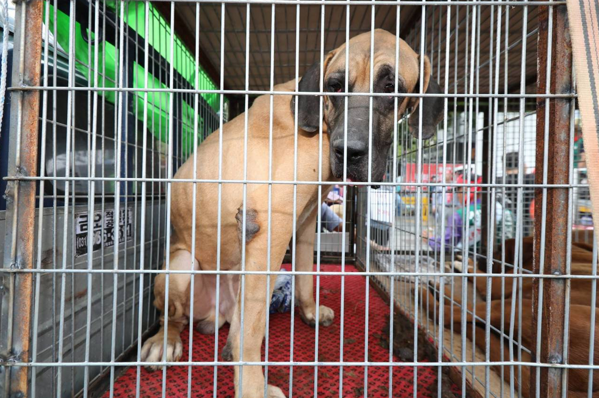 點擊查看大圖 點擊查看大圖