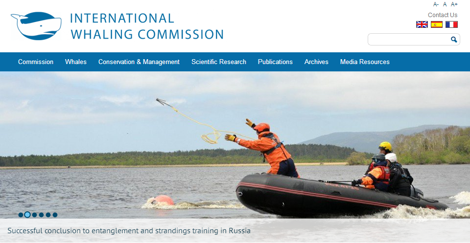 點擊查看大圖 點擊查看大圖