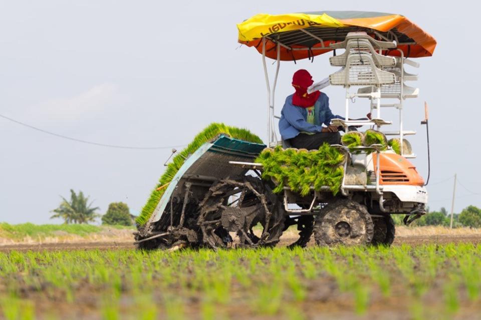 點擊查看大圖 點擊查看大圖