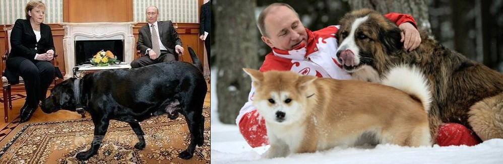 點擊查看大圖 點擊查看大圖