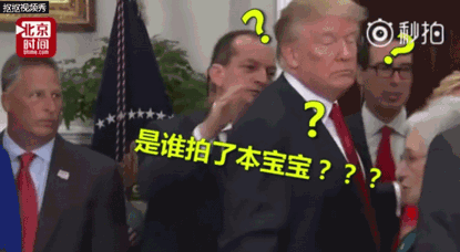 點擊查看大圖 點擊查看大圖