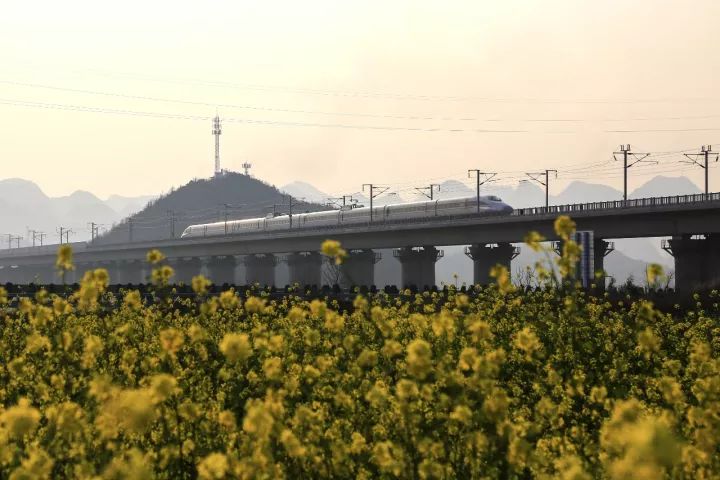 點擊查看大圖 點擊查看大圖