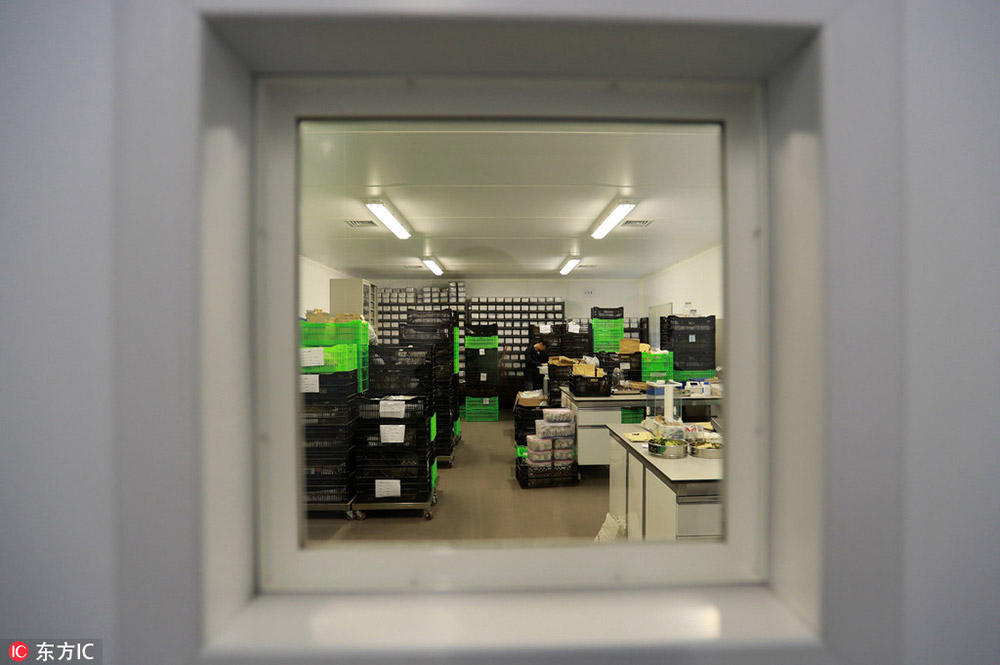 點擊查看大圖 點擊查看大圖