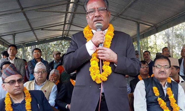 點擊查看大圖 點擊查看大圖