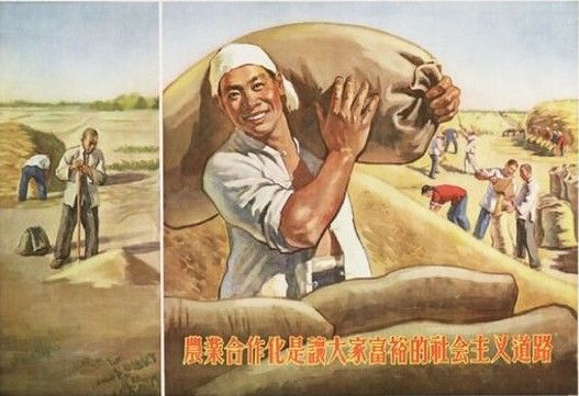 點擊查看大圖