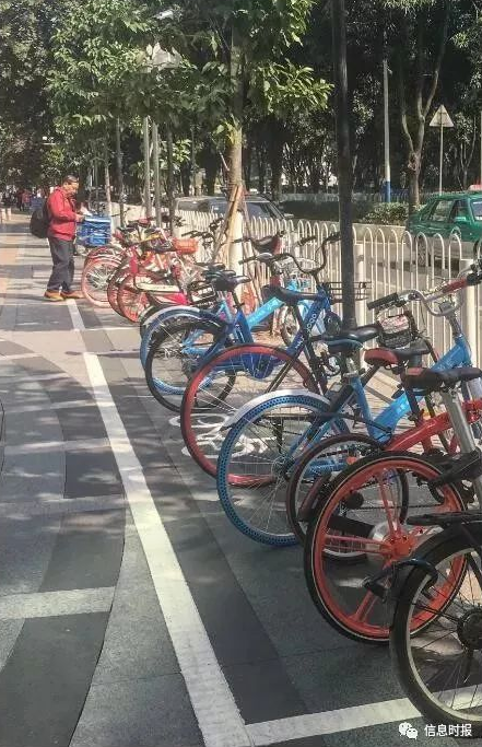 點擊查看大圖 點擊查看大圖