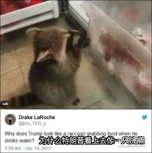 點擊查看大圖 點擊查看大圖