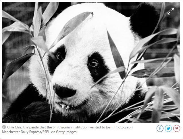 點擊查看大圖 點擊查看大圖