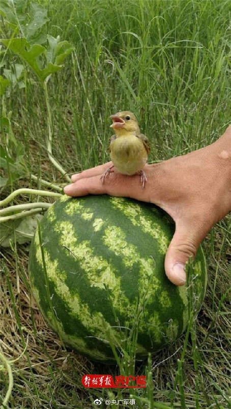 點擊查看大圖 點擊查看大圖