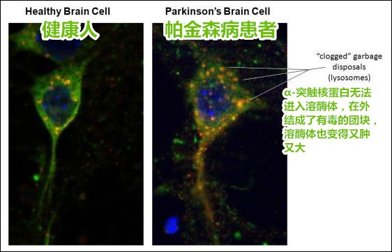 點擊查看大圖 點擊查看大圖