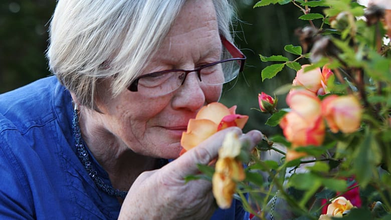點擊查看大圖 點擊查看大圖