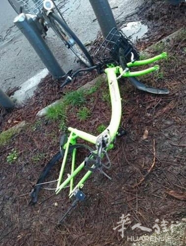 點擊查看大圖 點擊查看大圖