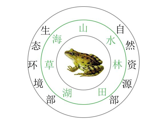 點擊查看大圖