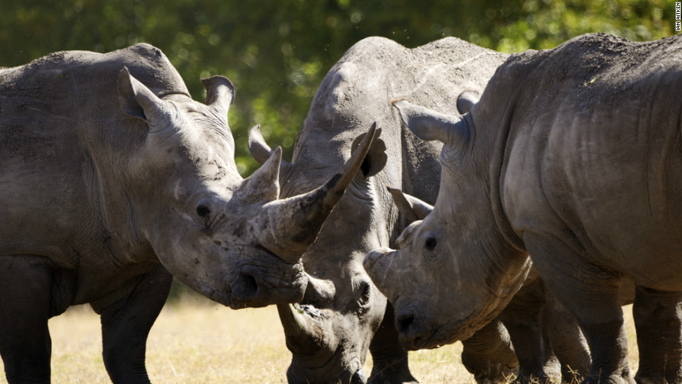 點擊查看大圖 點擊查看大圖