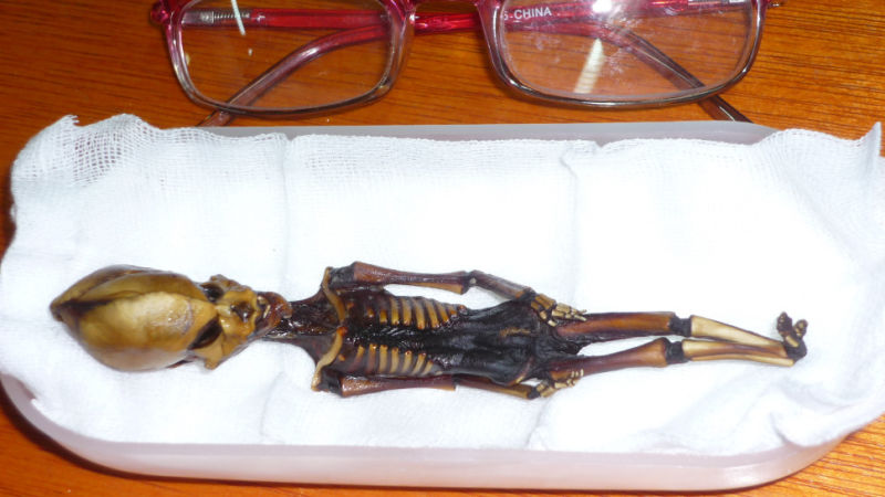 點擊查看大圖 點擊查看大圖