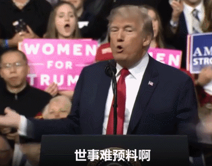 點擊查看大圖 點擊查看大圖