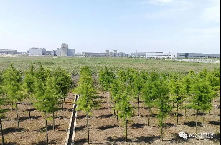 點擊查看大圖 點擊查看大圖