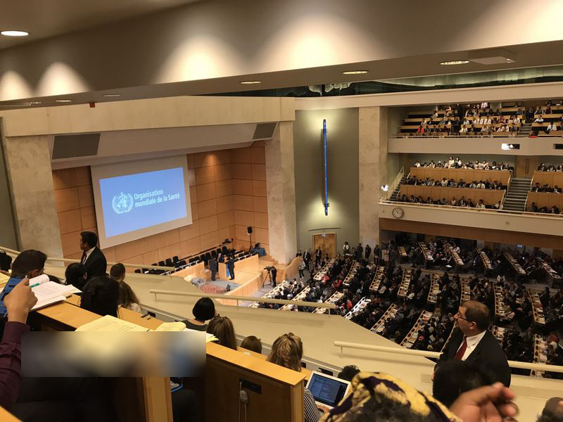 點擊查看大圖 點擊查看大圖