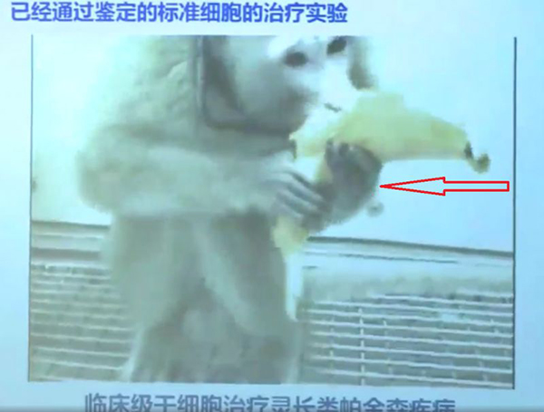 點擊查看大圖 點擊查看大圖