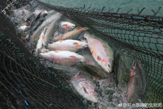 點擊查看大圖 點擊查看大圖