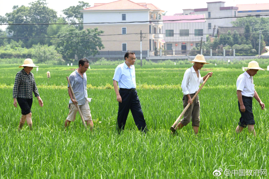 點擊查看大圖 點擊查看大圖