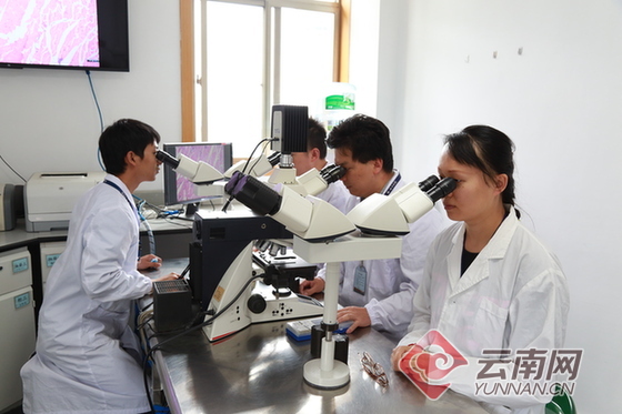 點擊查看大圖 點擊查看大圖