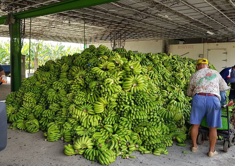點擊查看大圖 點擊查看大圖