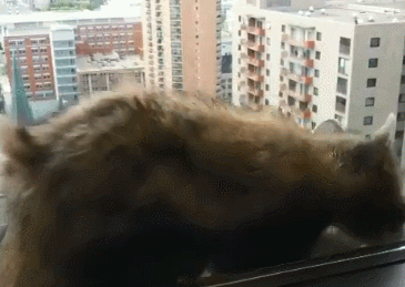 點擊查看大圖 點擊查看大圖