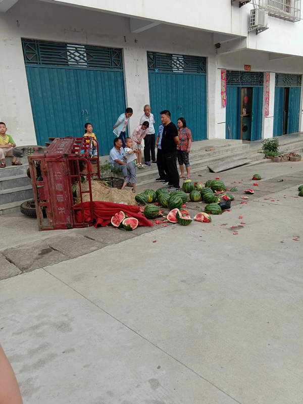 點擊查看大圖 點擊查看大圖