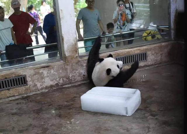 點擊查看大圖 點擊查看大圖