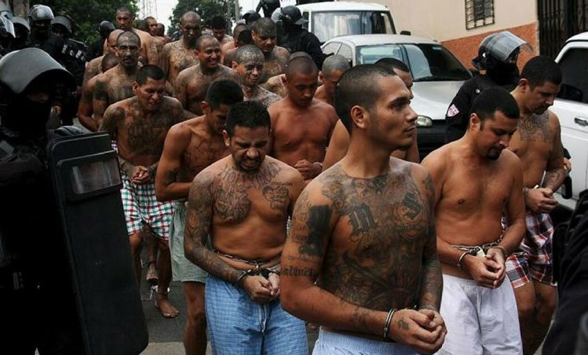 點擊查看大圖 點擊查看大圖