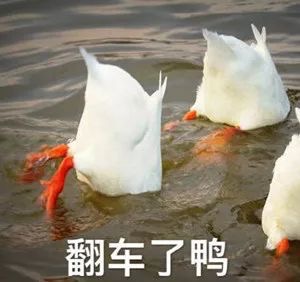 點擊查看大圖 點擊查看大圖