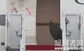 點擊查看大圖 點擊查看大圖