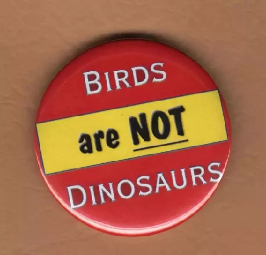 點擊查看大圖 點擊查看大圖