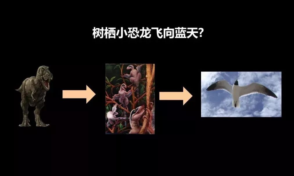 點擊查看大圖