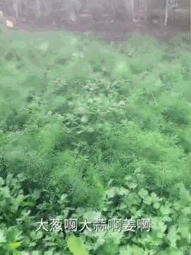 點擊查看大圖 點擊查看大圖