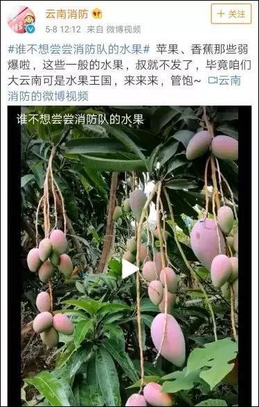 點擊查看大圖