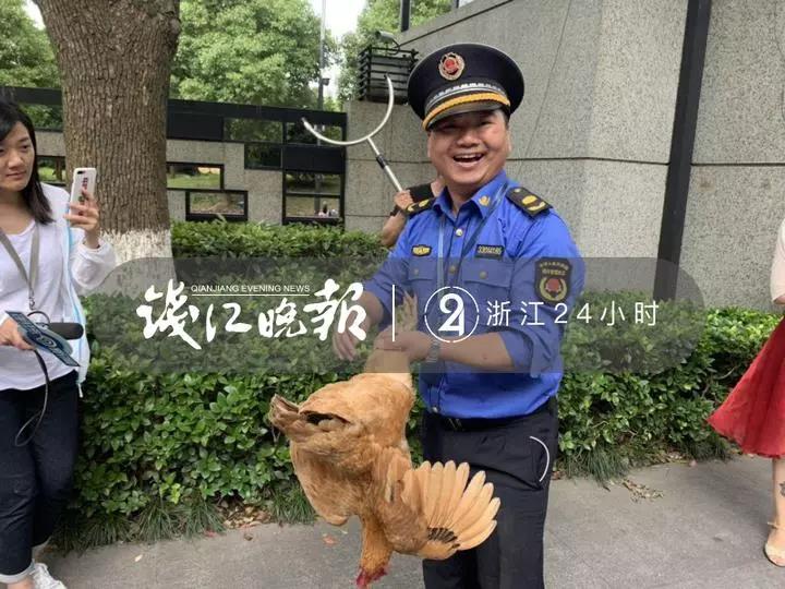 點擊查看大圖