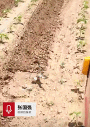 點擊查看大圖 點擊查看大圖